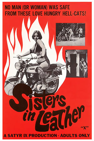 watch Sisters in Leather