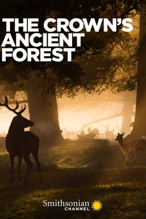 The Crown's Ancient Forest watch The Crown's Ancient Forest